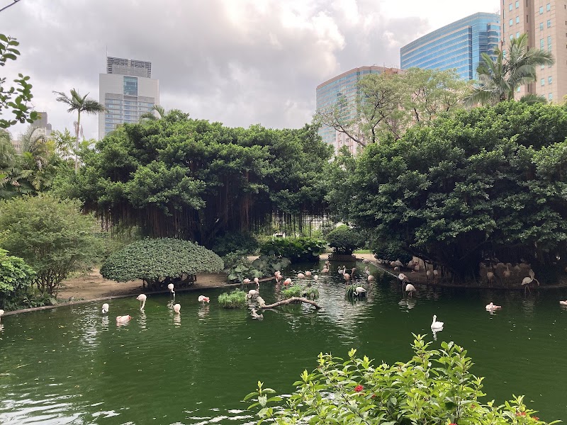 Photo 2 at Aviary, Kowloon Park in 