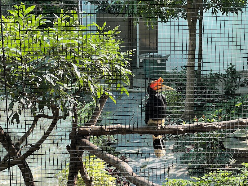 Photo 3 at Aviary, Kowloon Park in 