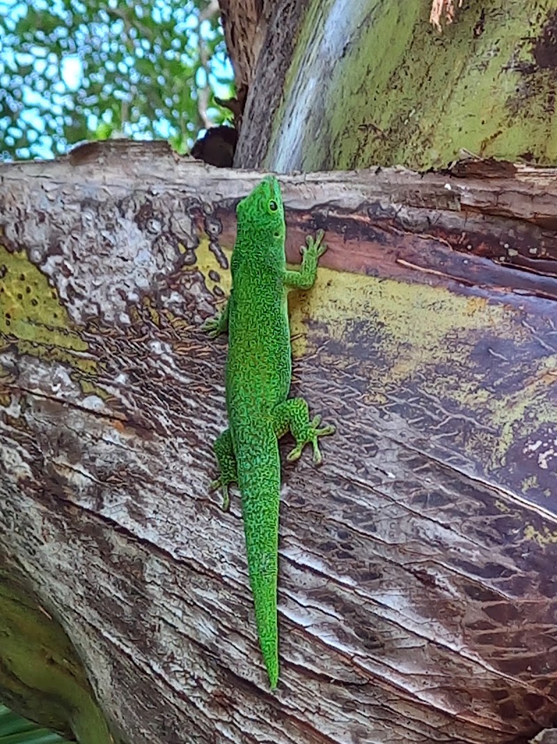 Photo 6 at Praslin National Park in Baie Ste Anne
