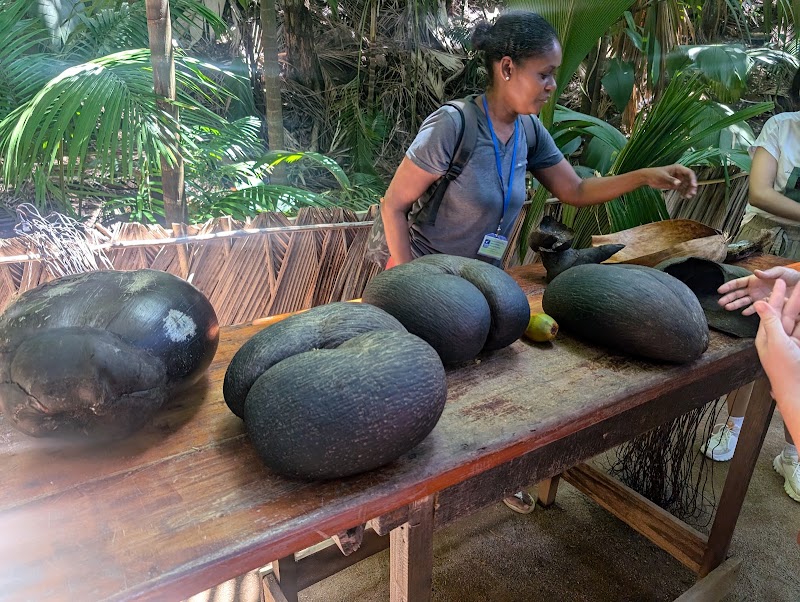 Photo 3 at Praslin National Park in Baie Ste Anne