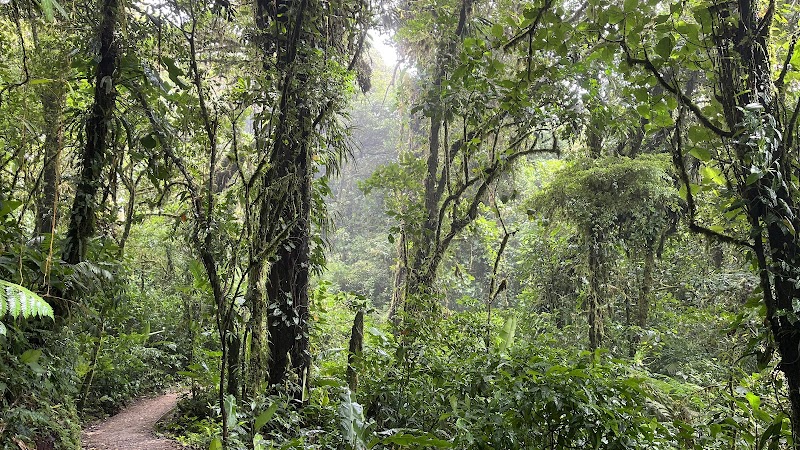 Photo 5 at Monteverde Cloud Forest Biological Preserve in 