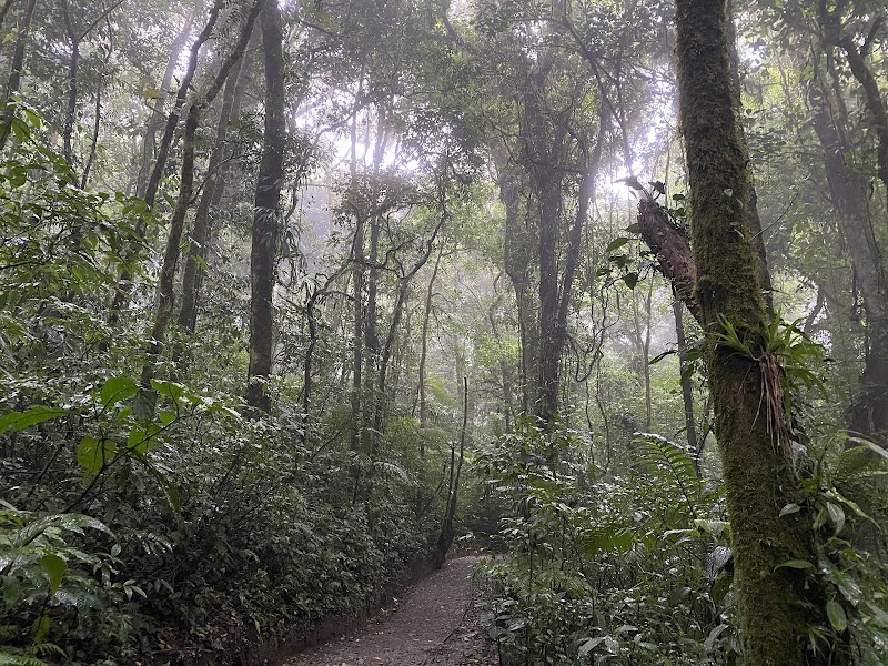 Photo 1 at Monteverde Cloud Forest Biological Preserve in 