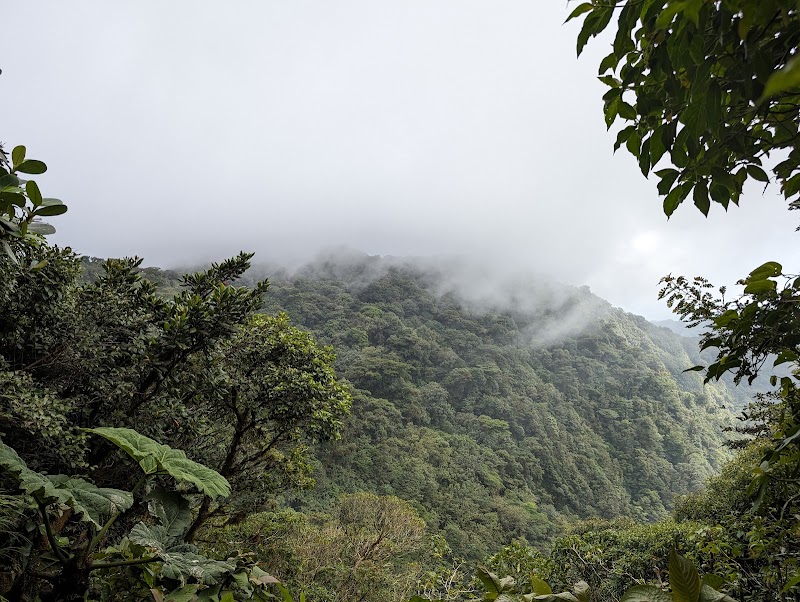 Photo 2 at Monteverde Cloud Forest Biological Preserve in 