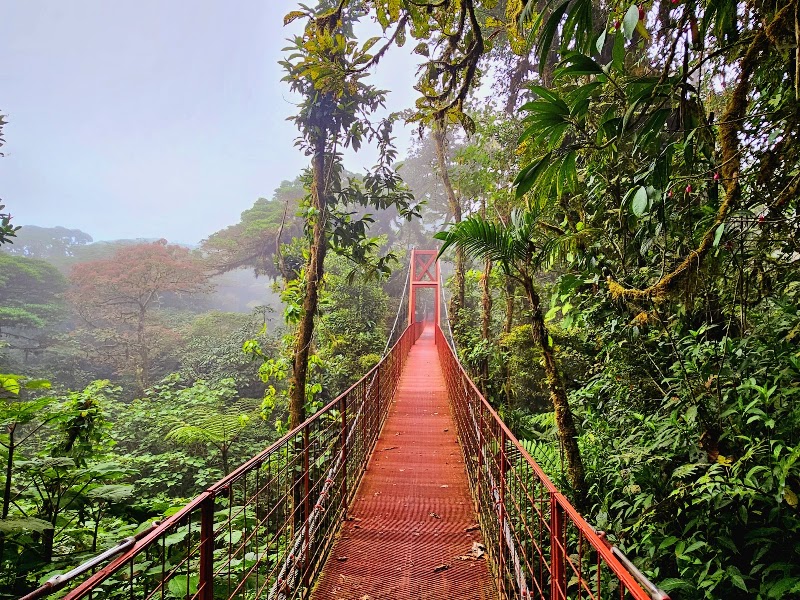 Monteverde Cloud Forest Biological Preserve in 